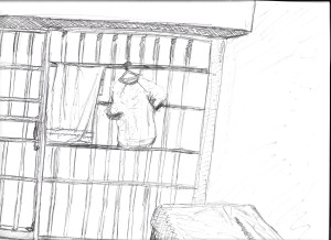 from inside cell, Elmira